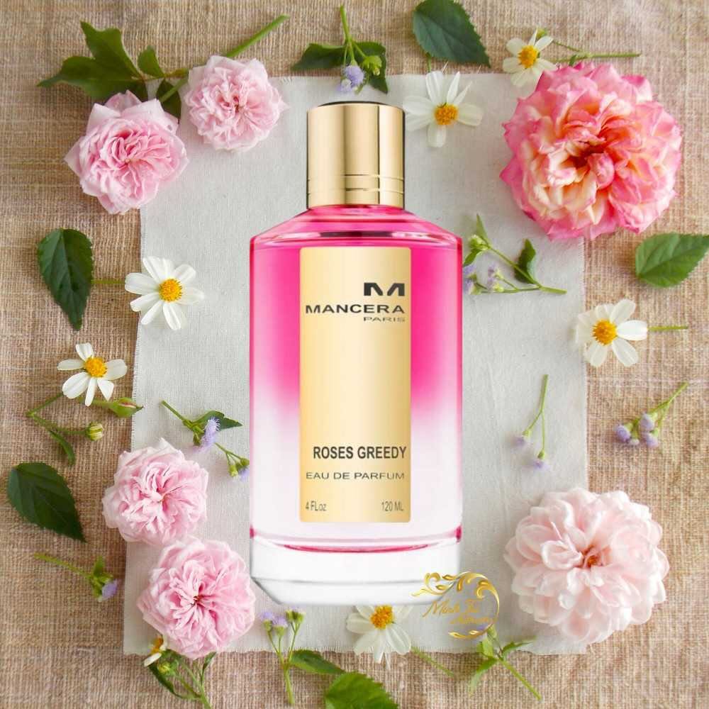 Mancera Roses Greedy EDP